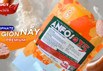 ANFOS AP X5 - PHOSPHATE TẠO GIÒN NẨY ƯU VIỆT MỚI