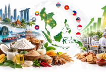 BỨC TRANH THỊ TRƯỜNG PHỤ GIA & NGUYÊN LIỆU ASEAN 2026