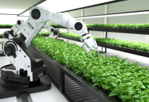 🔥 Cuộc cách mạng AI trong sản xuất gia vị Việt Nam (2024–2025): Số liệu, xu hướng và tương lai