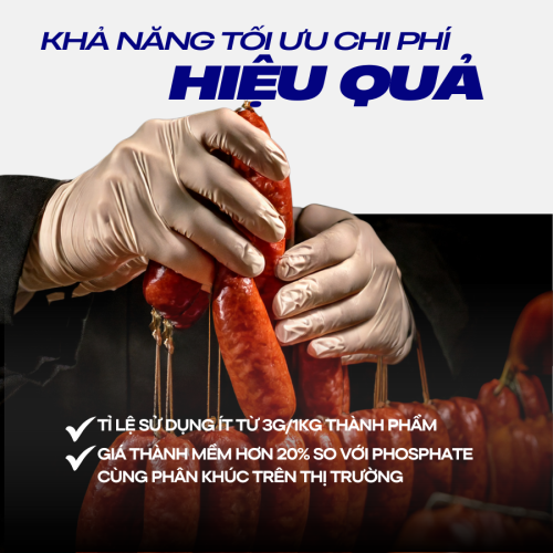 SIÊU GIÒN DAI - ANFOS AP X5
