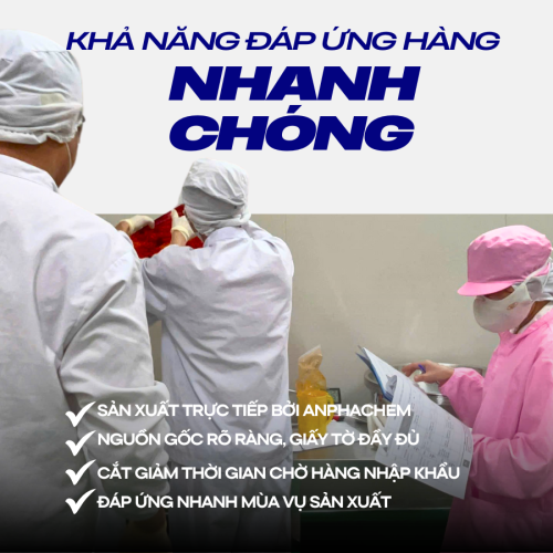 SIÊU GIÒN DAI - ANFOS AP X5