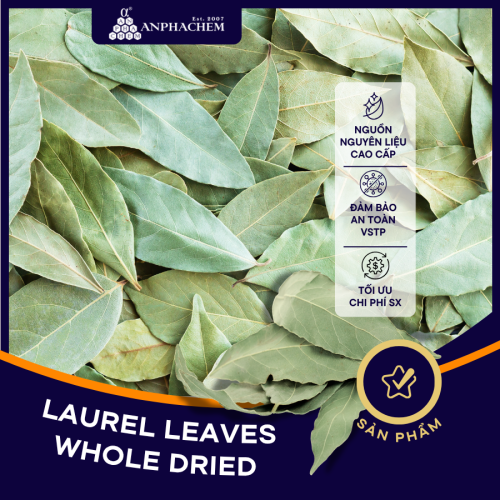 LÁ NGUYỆT QUẾ SẤY KHÔ - 253940 LAUREL LEAVES WHOLE DRIED