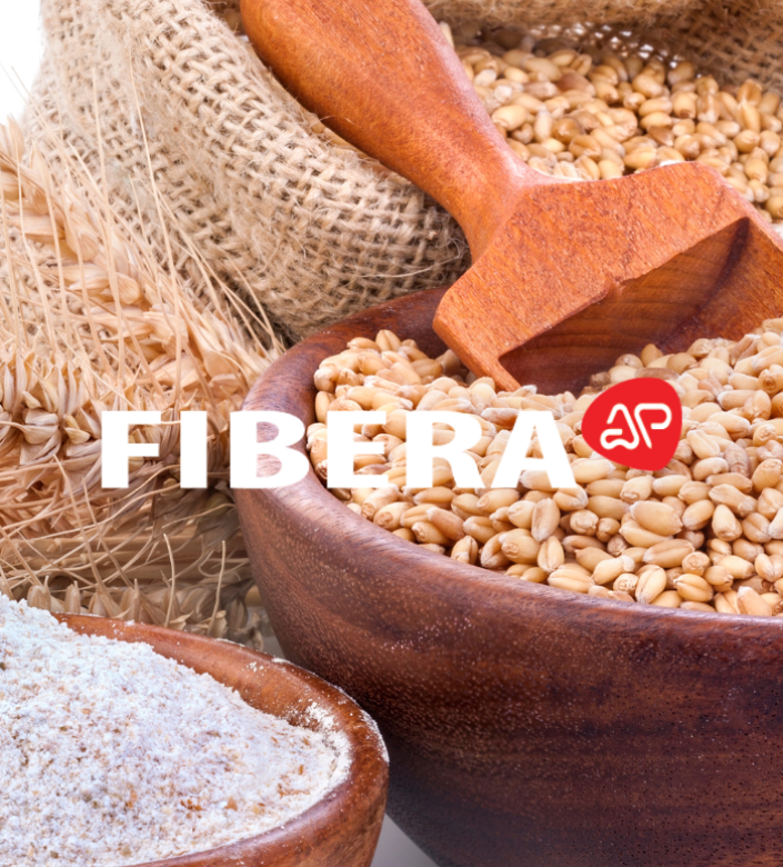 FIBERA AP