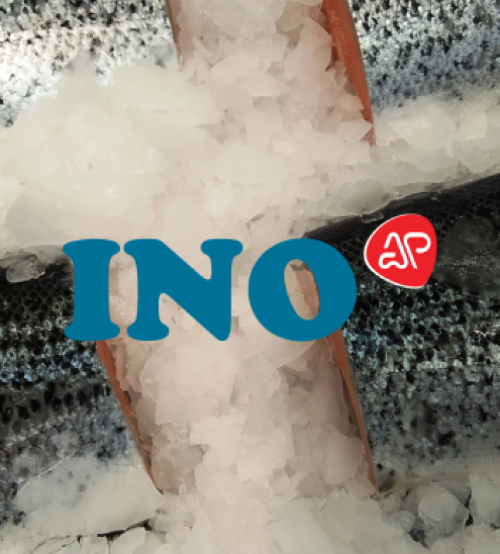 INO AP